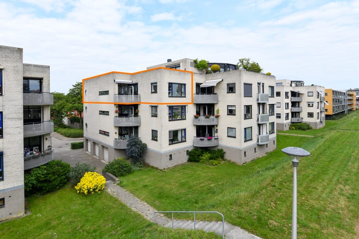Sterrekruid 49 in Zeewolde