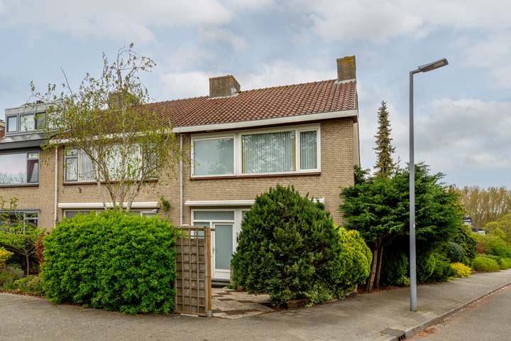 Sterremos 1 in Rotterdam