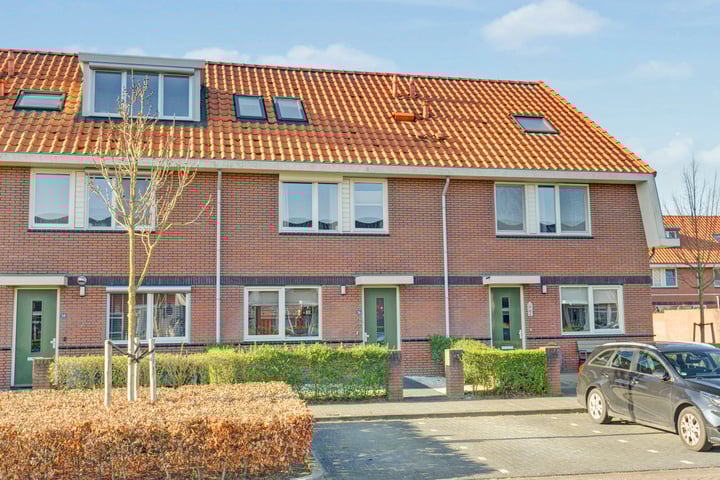Stier 36 in Elst