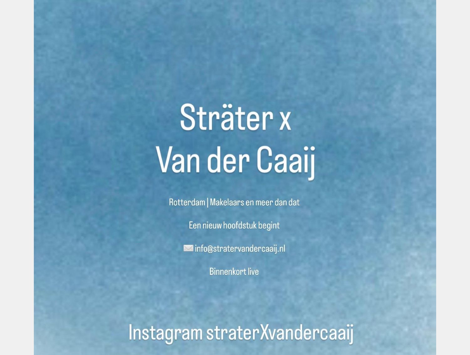 Screenshot van de website van www.stratervandercaaij.nl