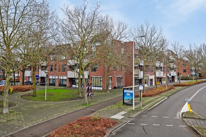 Stuifzwam 72 in Alphen aan den Rijn