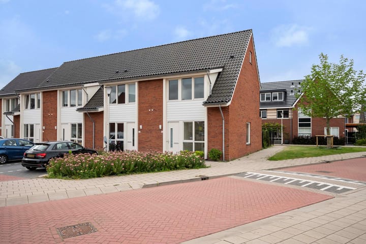 Suikerpeer 32 in Boskoop foto