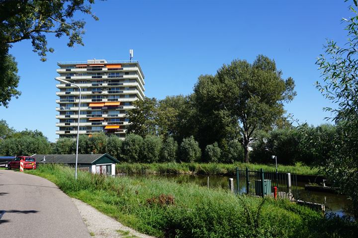 Suze Groenewegstraat 219 in Purmerend