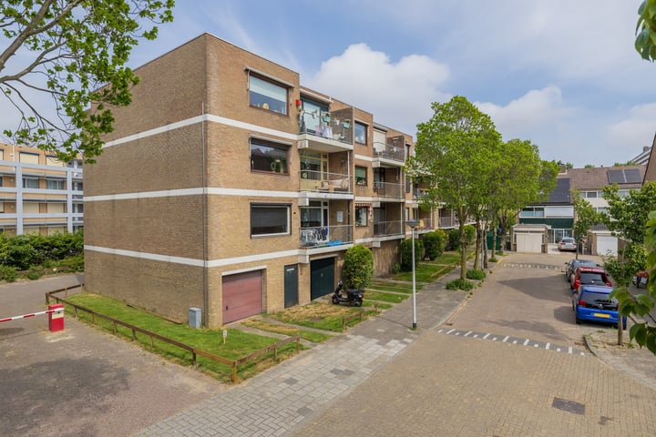 Synthese 44 in Katwijk foto