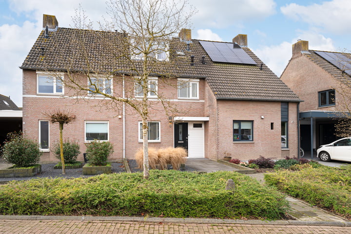 Tarwe 9 in Sint-Oedenrode