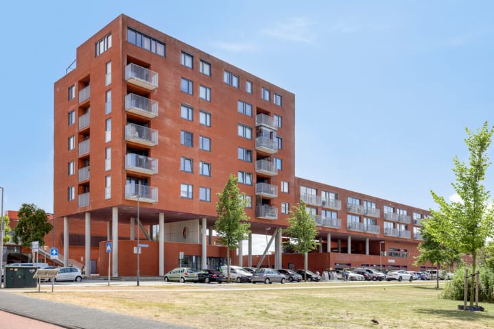 Tasmanië 20 in Zoetermeer foto