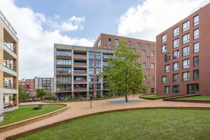 Teakhout 100 in Zaandam