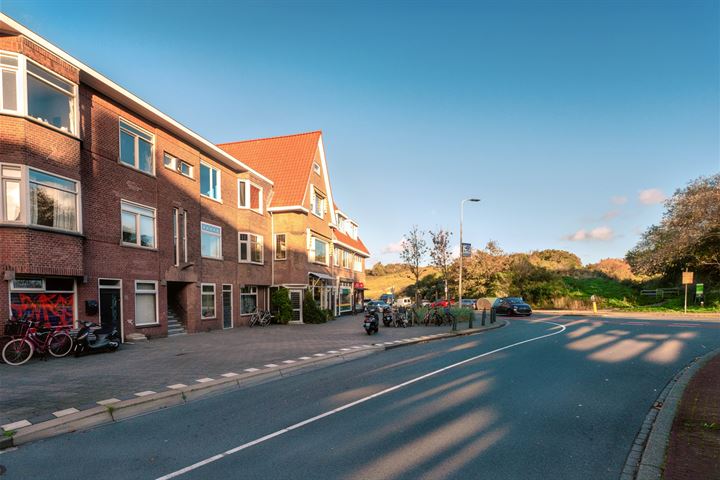 Tesselsestraat 13 in 's-Gravenhage