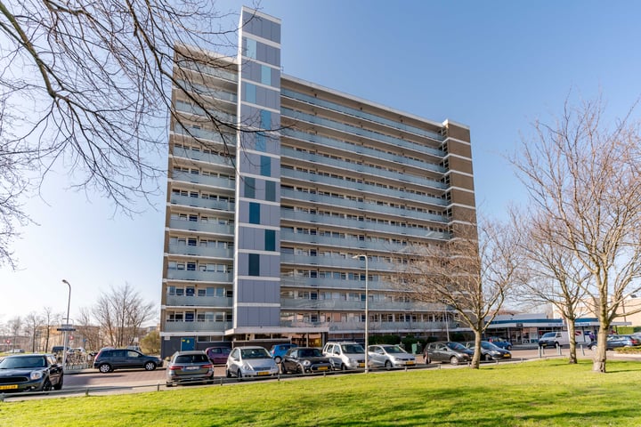 Teunisbloemplein 51 in 's-Gravenhage Foto