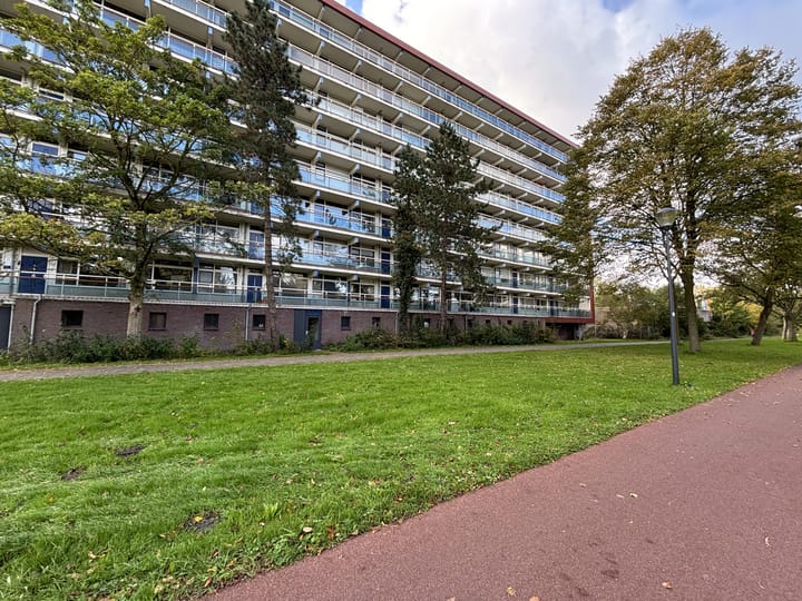Texelhof 7 in Haarlem