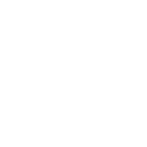 Logo The BRND Brokerage