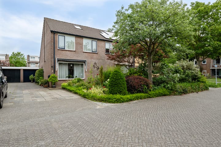 Theebos 13 in Limmen foto