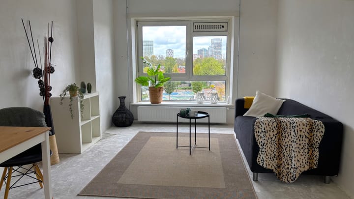 Theodorus Dobbestraat 78-3 in Amsterdam