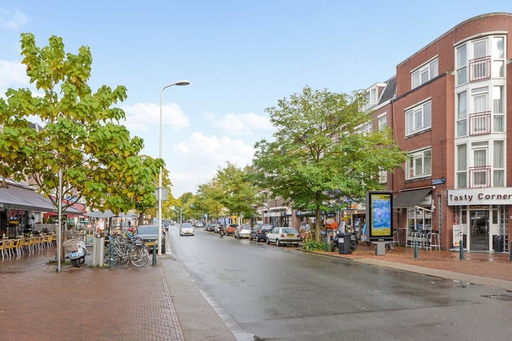 Theresiastraat 65A in 's-Gravenhage