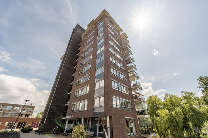 Thetfordstraat 172 in Spijkenisse