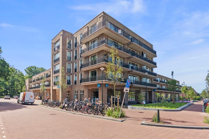 Thomas Mannsingel 18J in 's-Gravenhage
