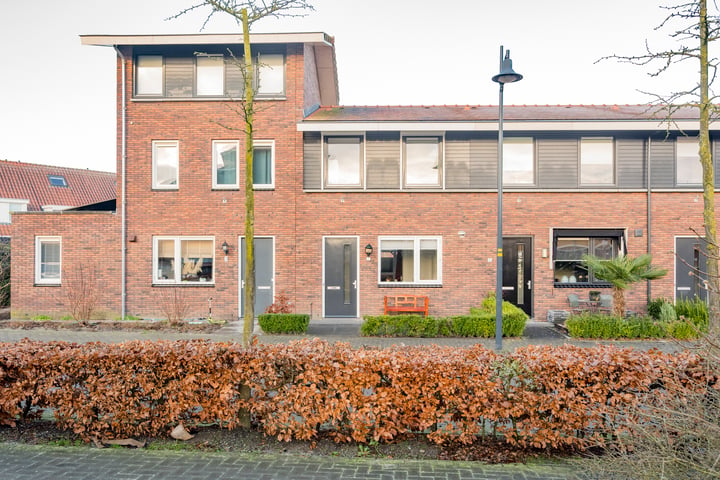 Tijgervlinder 4 in Nijkerk