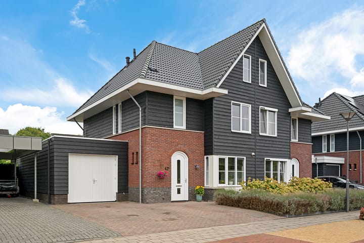 Titelroas 42a in Boornbergum