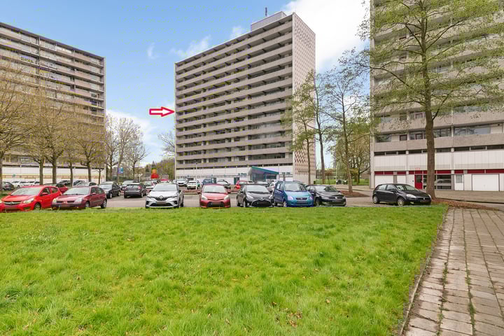 Tjaarda 226 in Drachten