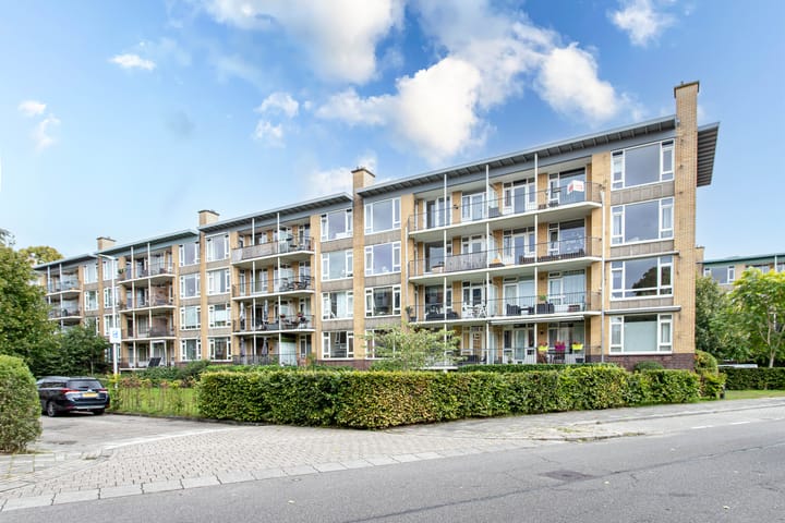 Tolsteegplantsoen 20 in Utrecht