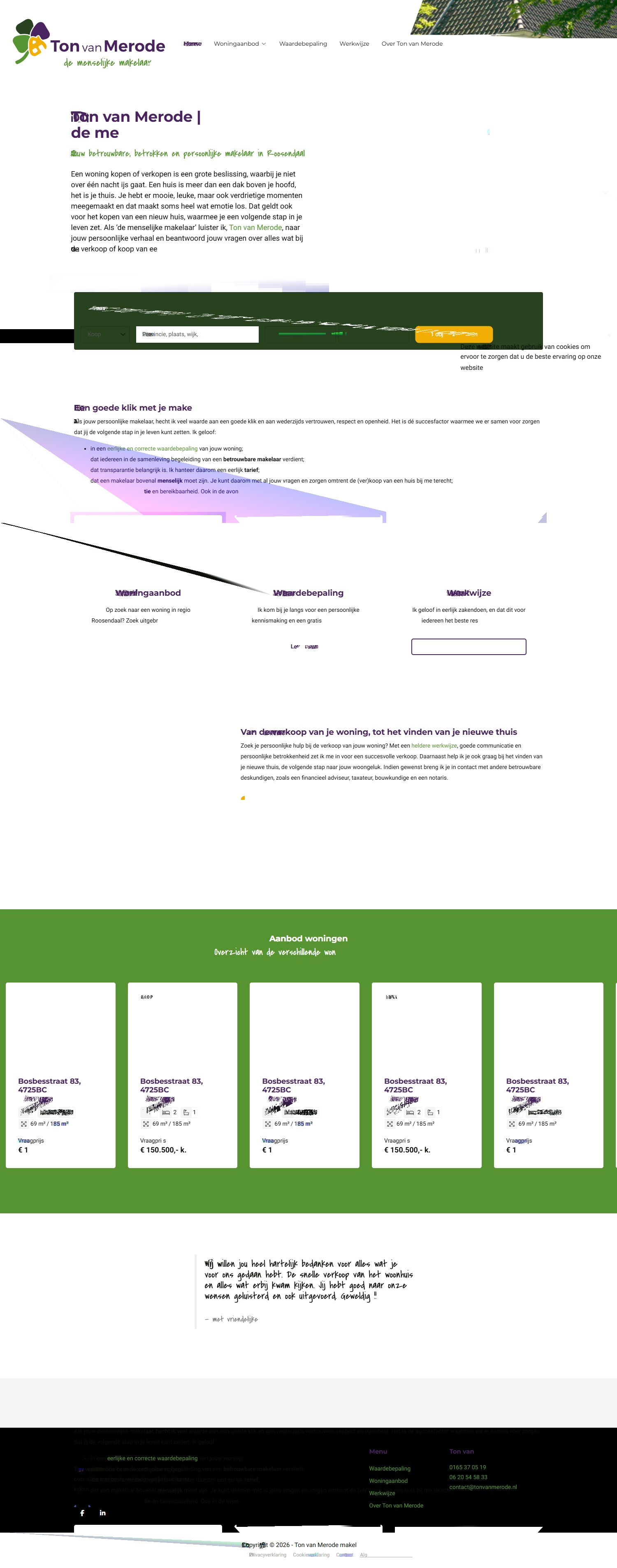 Screenshot van de website van tonvanmerode.nl