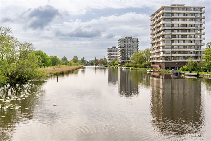 Tooroplaan 84 in Maassluis