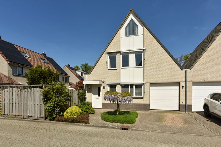 Topaas 29 in Hoorn foto