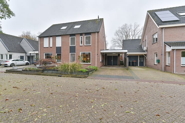 Tormentil 10 in Hollandscheveld