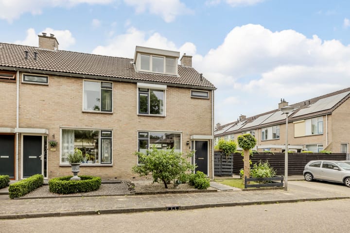 Trasmolen 2 in Heerjansdam