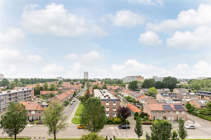 Trekvogelweg 245 in Amersfoort