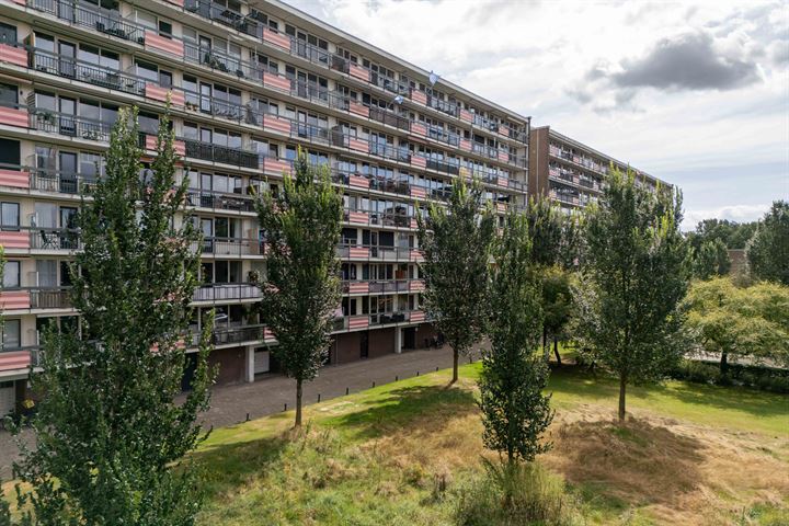 Trekvogelweg 255 in Amersfoort