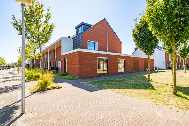 Truffelzwam 1 in Vleuten