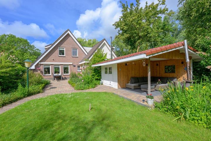 Tureluur 5 in Zuid-Scharwoude