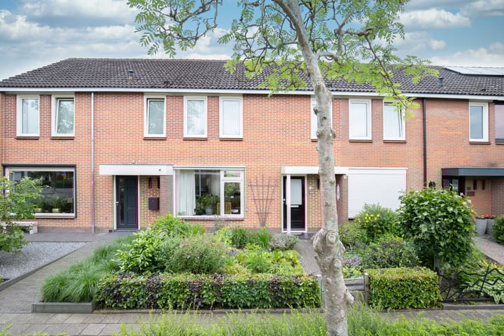 Tureluur 74 in Genemuiden