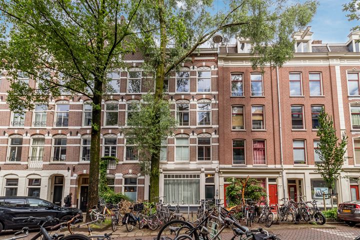 Tweede Jan Steenstraat 53D in Amsterdam