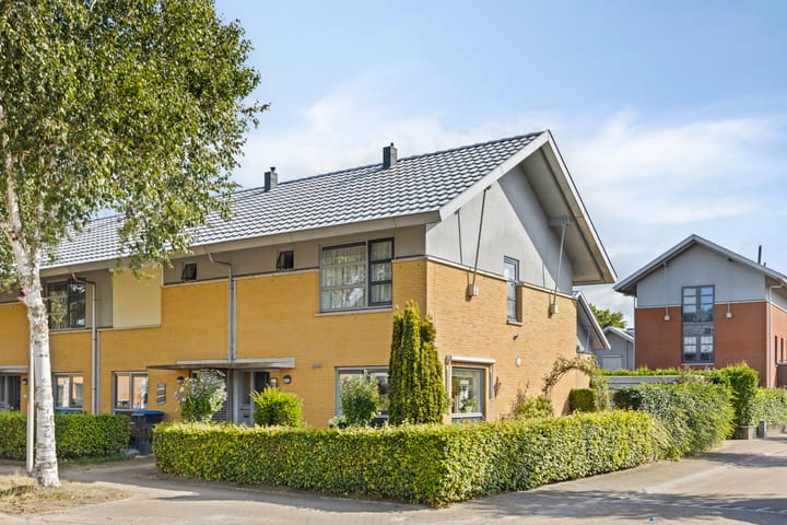 Uilvlinder 25 in Enschede photo