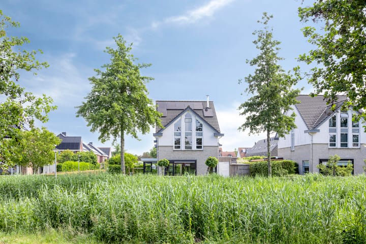 Valeriaan 35 in Meppel