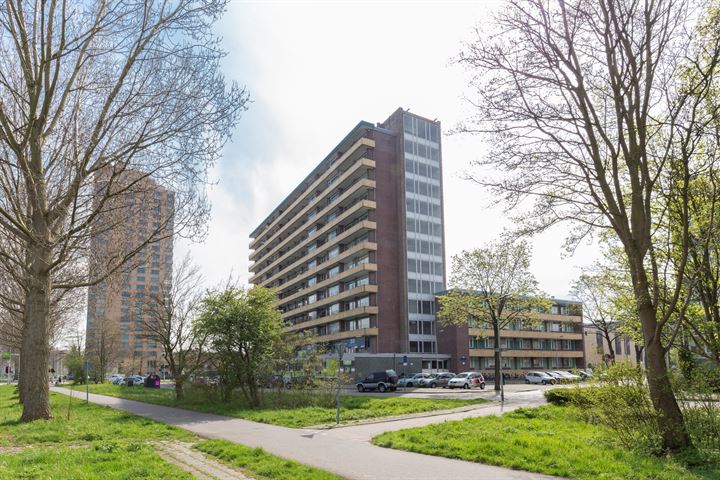 Van Adrichemstraat 239 in Delft