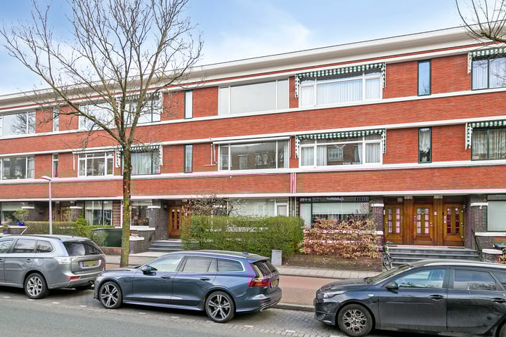 Van Alkemadelaan 207 in 's-Gravenhage Foto