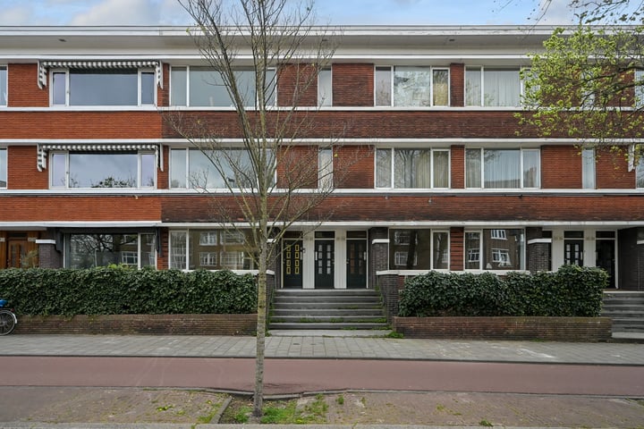 Van Alkemadelaan 259 in 's-Gravenhage