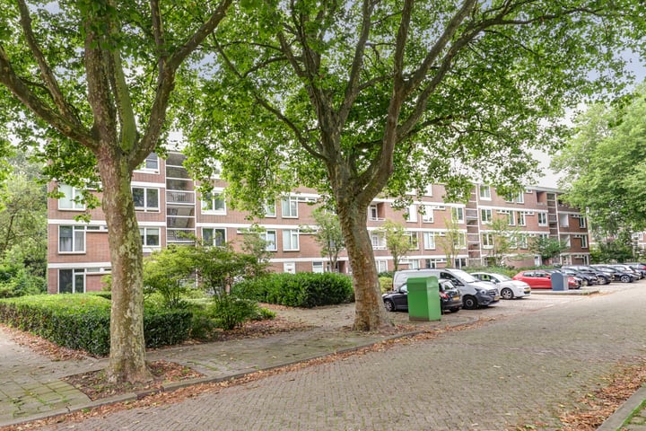 Van Beethovenstraat 19 in Ridderkerk