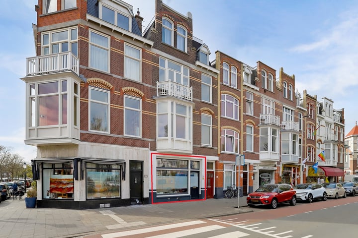 Van Boetzelaerlaan 124 in 's-Gravenhage foto