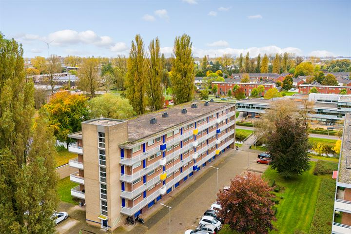 Van Borselenstraat 202 in Arnhem