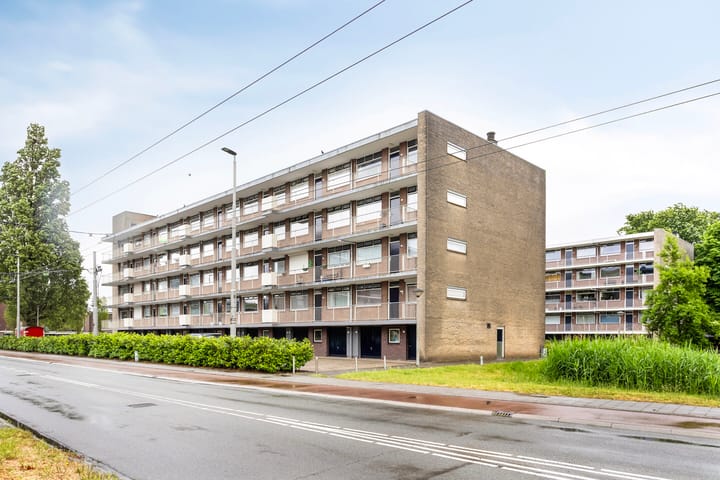 Van Borselenstraat 50 in Arnhem