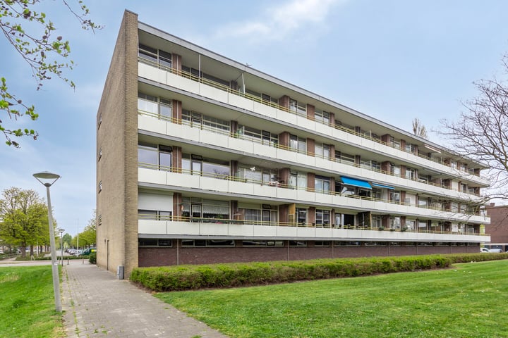Van Borselenstraat 52 in Arnhem
