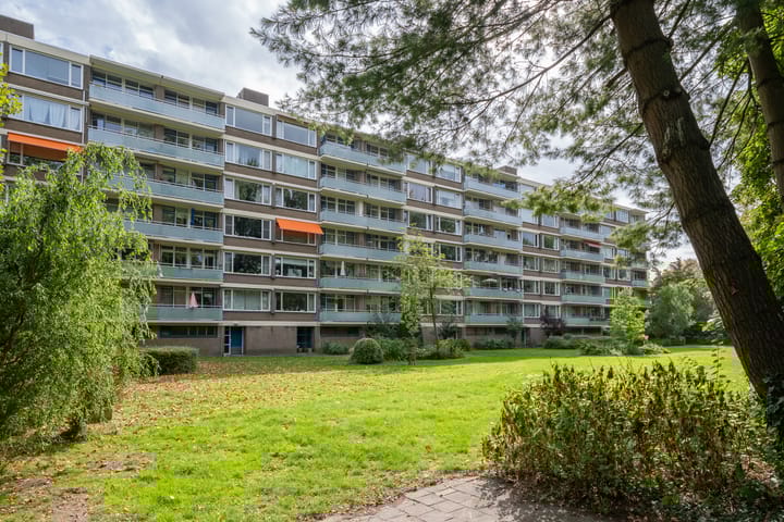 Van der Helmstraat 313 in Rotterdam