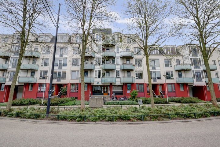 van Diemerbroeckstraat 139 in Nijmegen