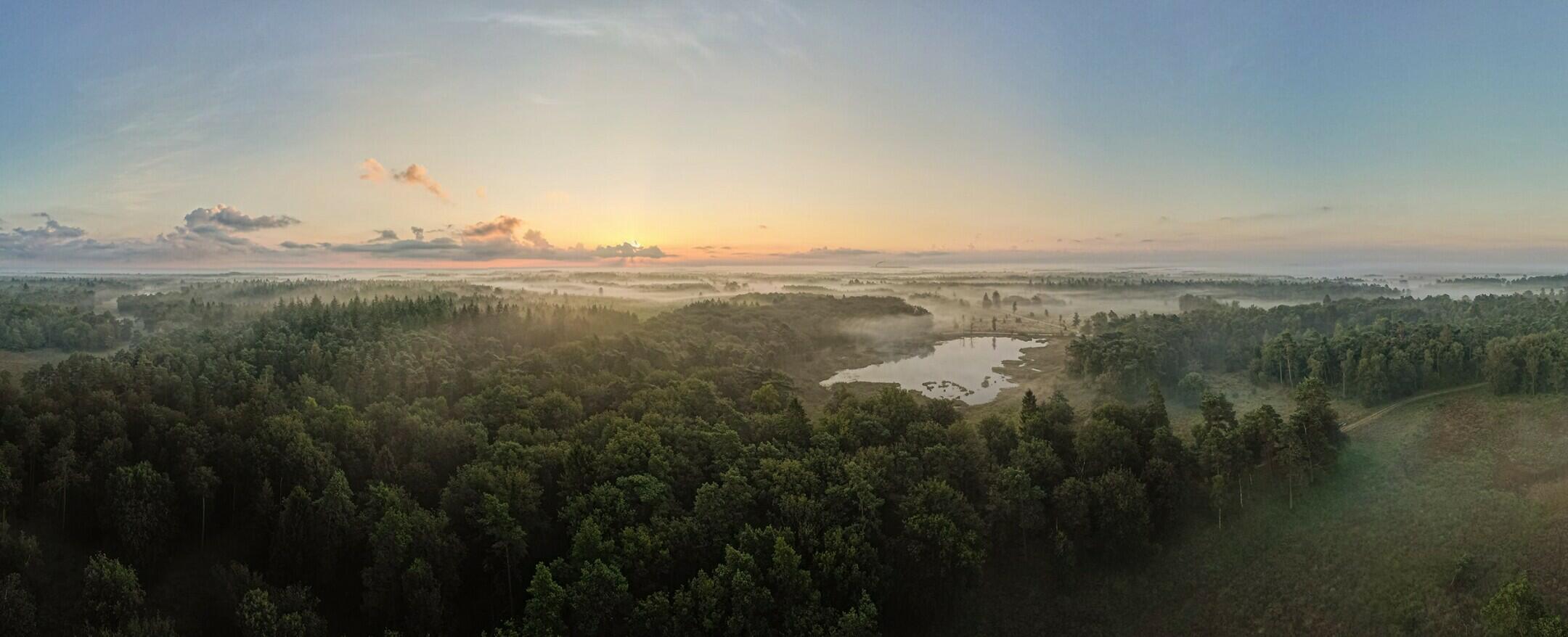 Office photo Van Ditshuizen Makelaardij O.G. B.V.