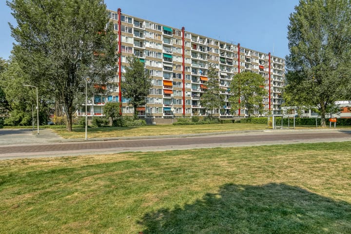 Van Goudoeverstraat 235 in Gorinchem