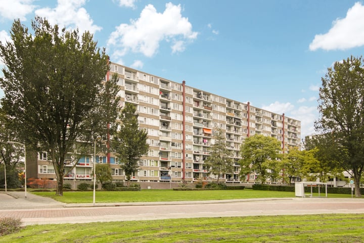 Van Goudoeverstraat 59 in Gorinchem